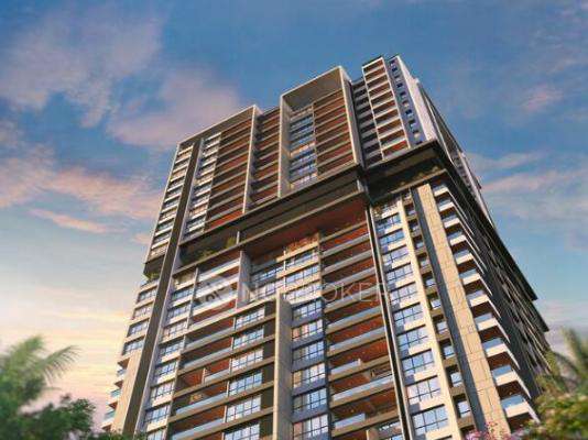 D And T Shivtoran CHS