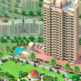 Star Hibiscus Heights