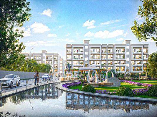 Adore Presidential World