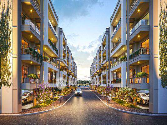 Adore Presidential World