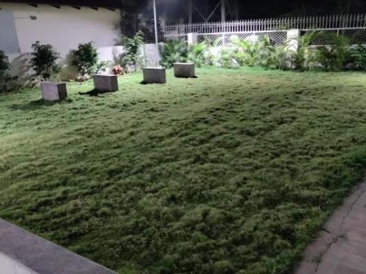 LNS Prominent East Winds