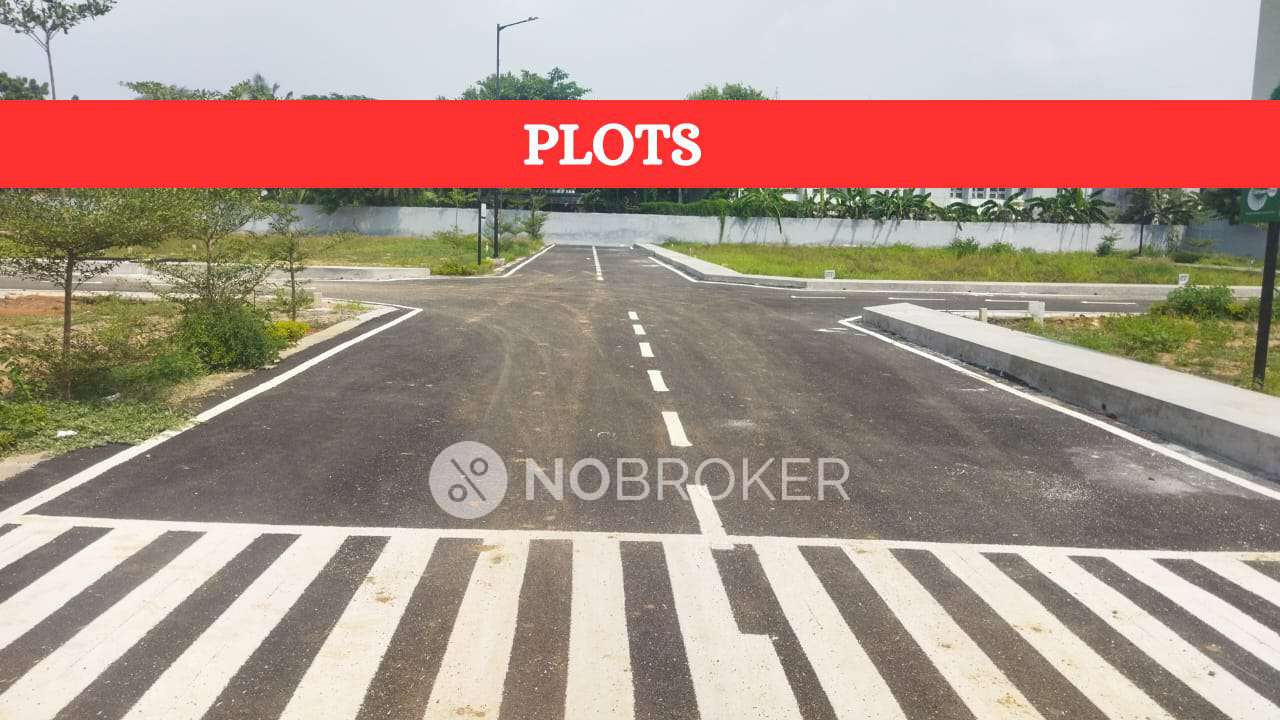 Amethyst Haven By Urban Tree