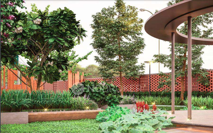 Aakruthi Roots And Rays