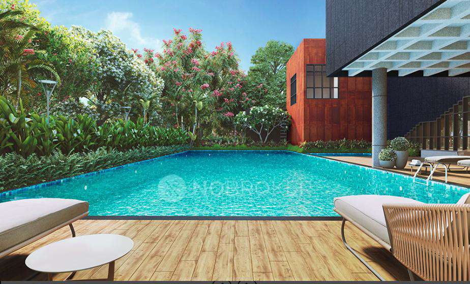 Assetz Inspira Melodies Of Life