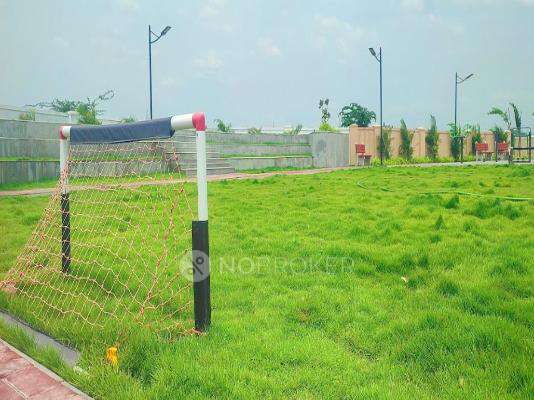 Urban Tree Diamond Kingdom