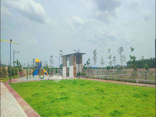 Urban Tree Diamond Kingdom