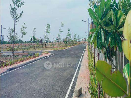 Urban Tree Diamond Kingdom