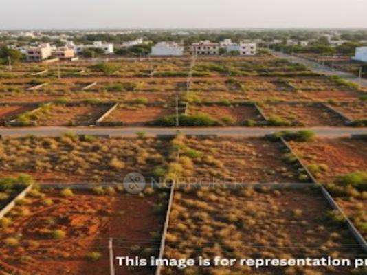 Heritage Coconut County