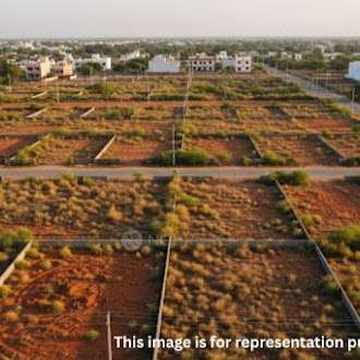 Heritage Coconut County