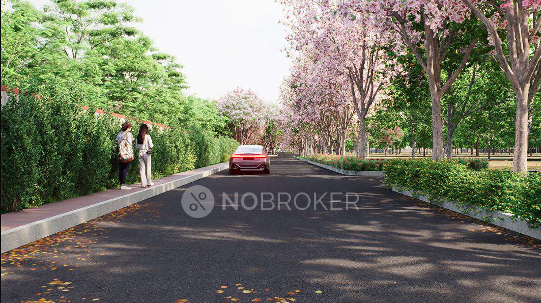 Brigade Cherry Blossom