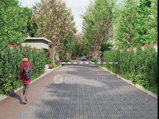 Brigade Cherry Blossom