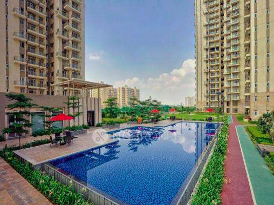 Conscient Heritage Max