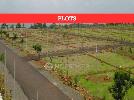 Sobha Chartered Woodpecker