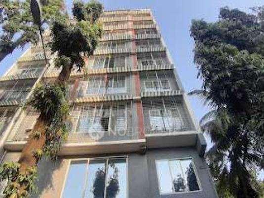 Mellennium Pitrukrupa