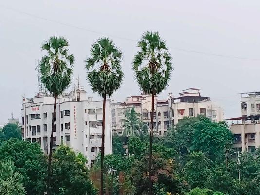 Mohan Heights