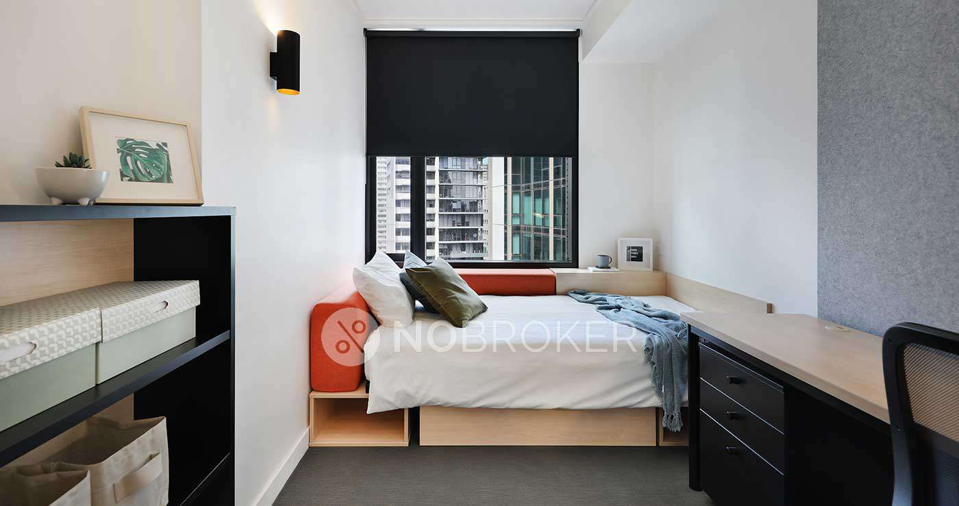 Jangid Ambrosia And Aster