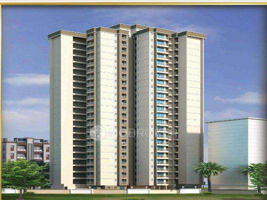 Shellproof Gladiolus Crown