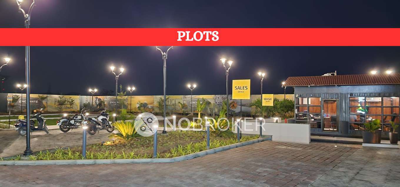 Enchante By Pacifica