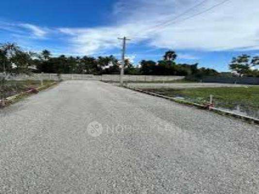 Veronica Golden City