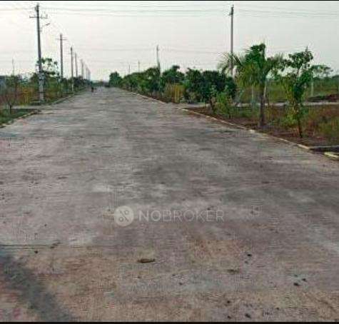 Salarpuria Sattva Pipal Tree