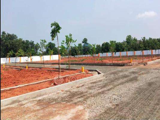 Salarpuria Sattva Pipal Tree