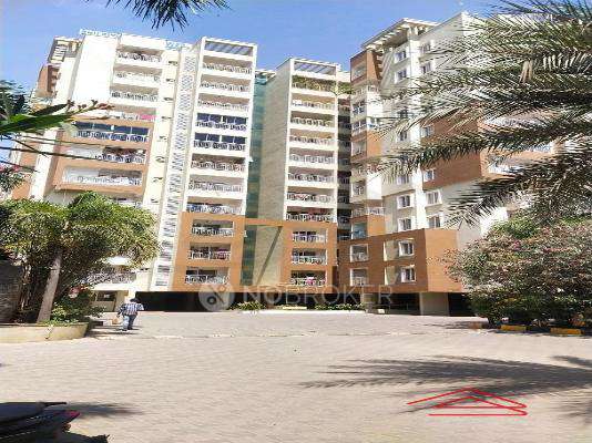 Maithri Shilpitha Sunflower 