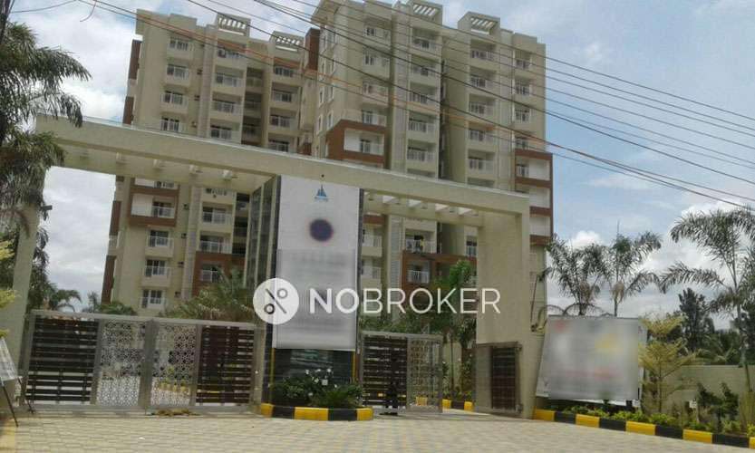 Maithri Shilpitha Sunflower 