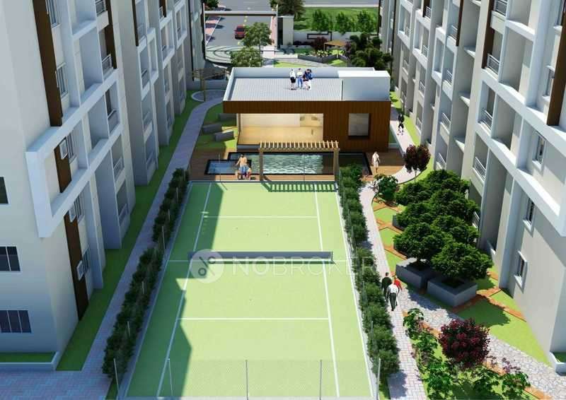 Laxmi Daffodil Block Of Bandari Blossoms