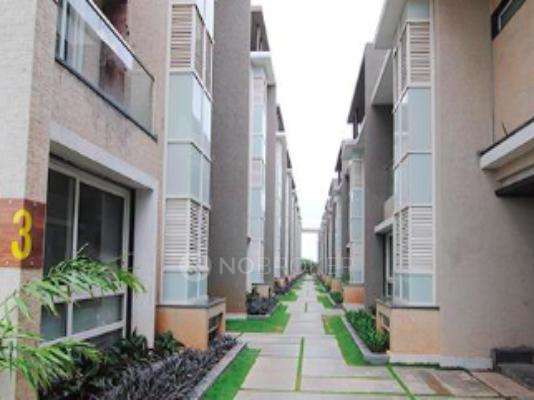 Mahathi Jaswitha Tulip