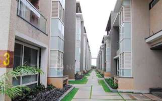 Mahathi Jaswitha Tulip