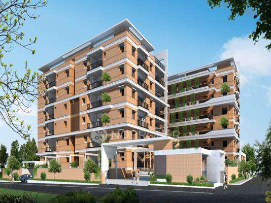 Navanaami Willow Greens