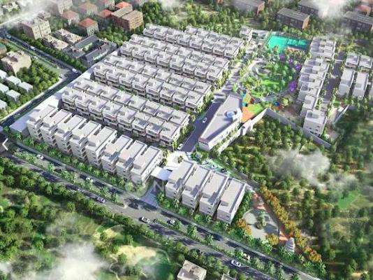 Pranava Sama Lakshma Reddy Greenwich