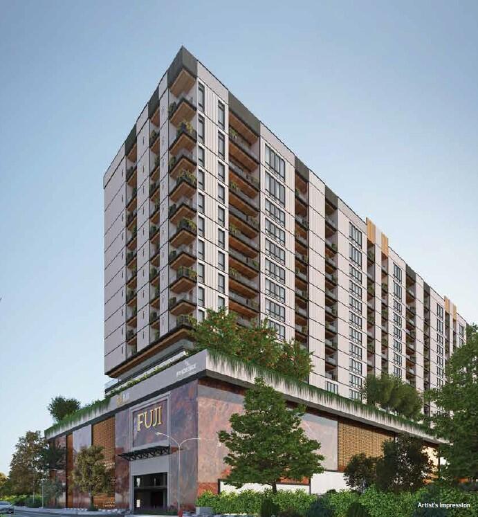 Realplus Fuji Halcyon