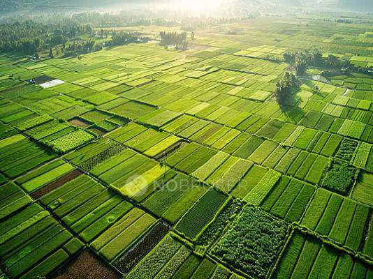 GKs Renuka Highway City