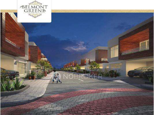 Pruthvi Belmont Greene