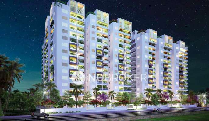 Nakhsatra White Orchit