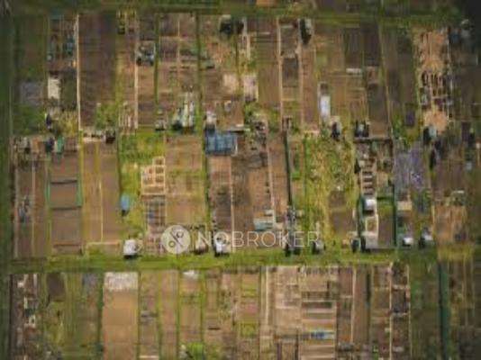Jones Aravindar Floral Garden