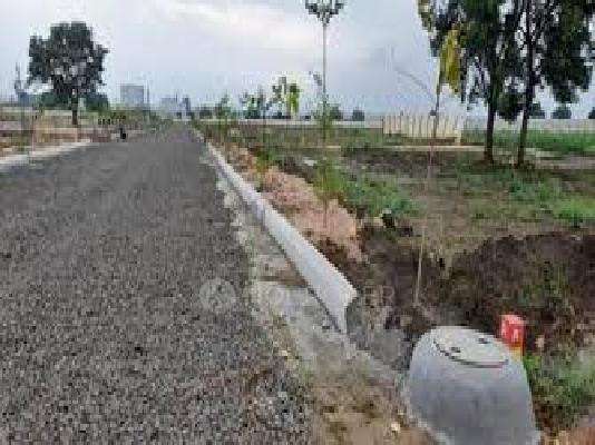 Sia Elite Serene Palms