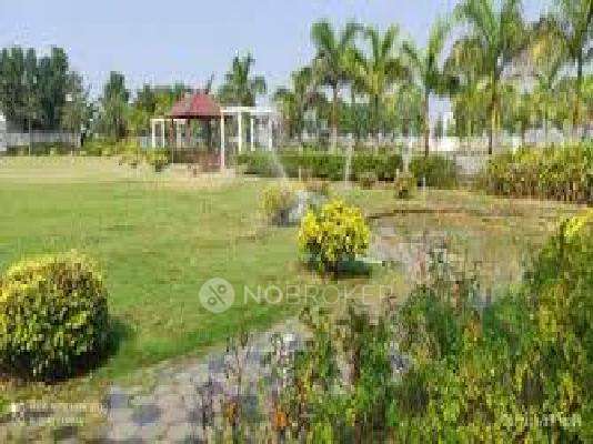 Sia Elite Serene Palms