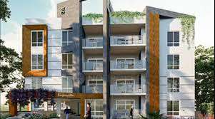 Greenleaf Bougainvillea