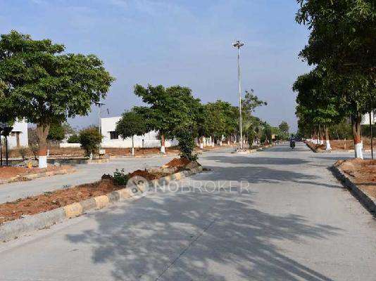 Fortune Grand Extension