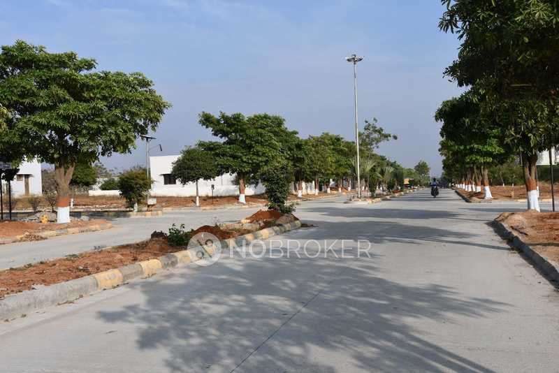 Fortune Grand Extension