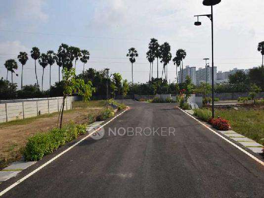 Elephantine Bliss In The Town