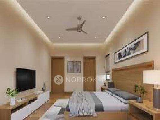 Doyen Legalas Doyen Ascent Flamingo