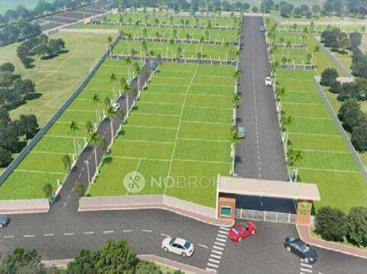 G Square Northern Ally