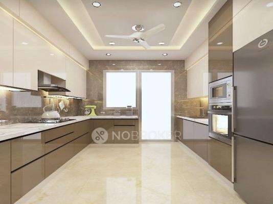 Fortune Green Golden Oriole