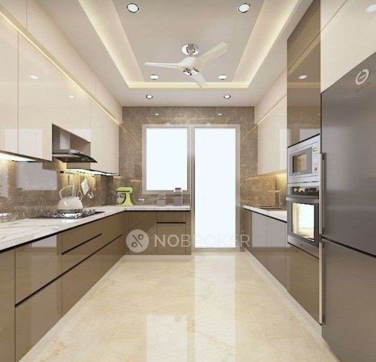 Fortune Green Golden Oriole