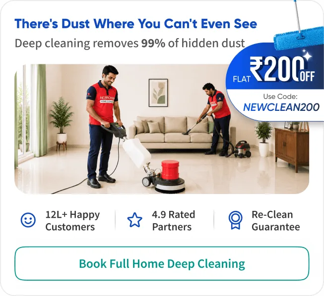 Full House Cleaning Offer