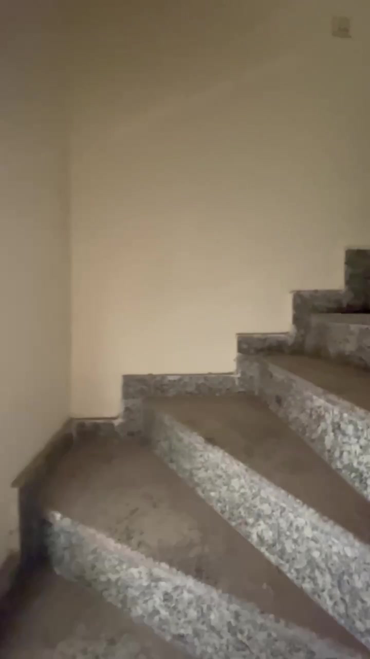 1 BHK Flat for Rent  In Rohini
