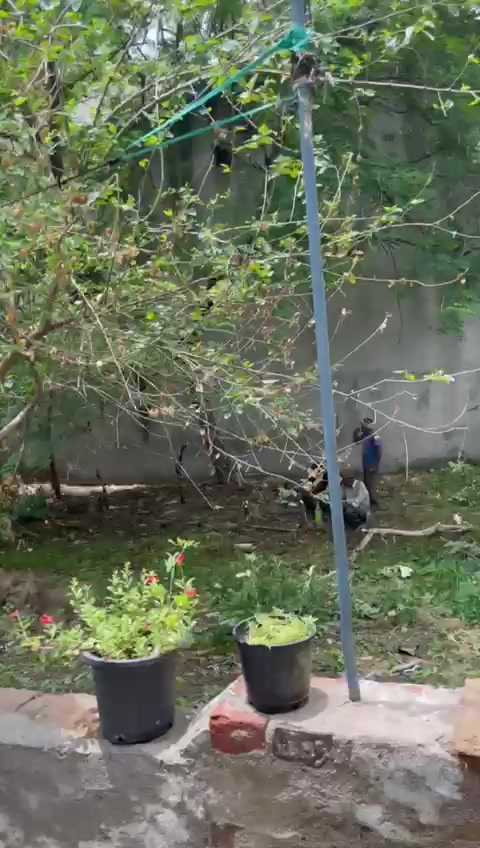 Plot For Sale  In Bijwasan